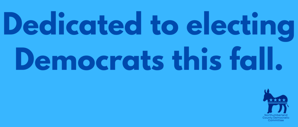 Dedicated to electing Democrats this fall.